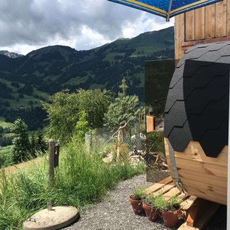 St Stephan BE Schenk Sauna - Spa at Home