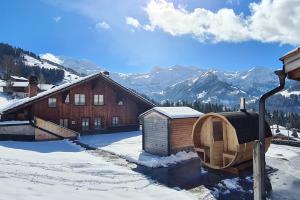 Spa at Home Sauna
